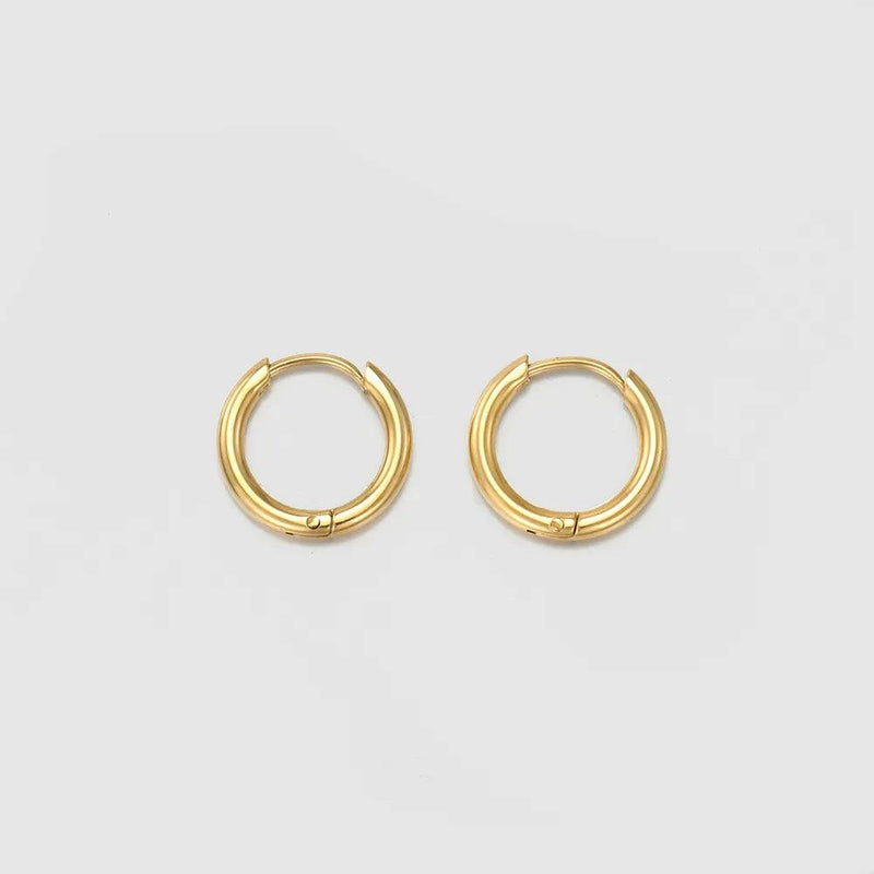 CALLICIO HOOP EARRINGS